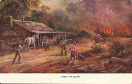 Post Card - Bush Fire Alarm